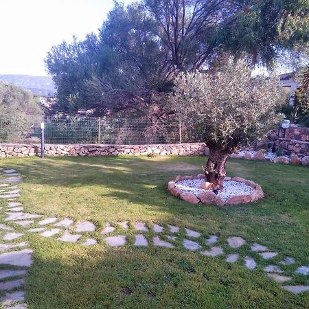 Villetta Cala D'Ambra 산테오도로 외부 사진